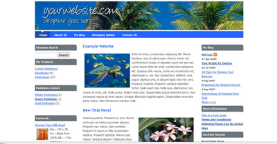 Internet Services / Blue