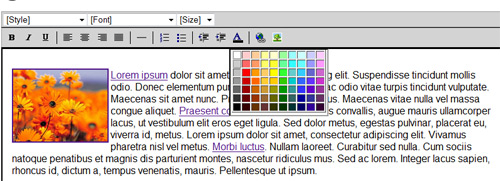 puresilva now has WYSIWYG editor with resizeable images