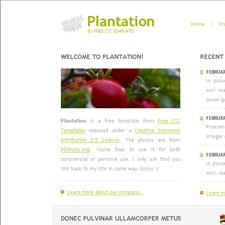 Plantation