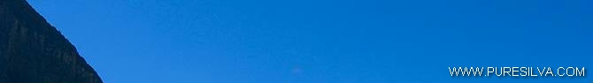 banner top