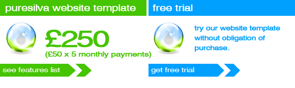 bespoke and template web design