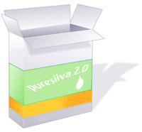 version2