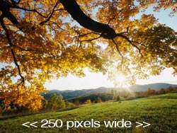 250 pixels