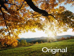 original