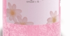 thebodycareshop.co.uk