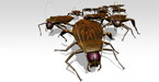 buypestcontrolproductsonline.co.uk