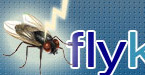 flykillersonline.co.uk