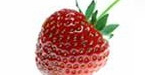nutritionfriend.com