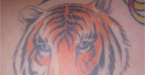 tats2c.com