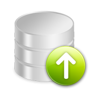 Daily Back-up of Website