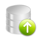 Daily Back-up of Website